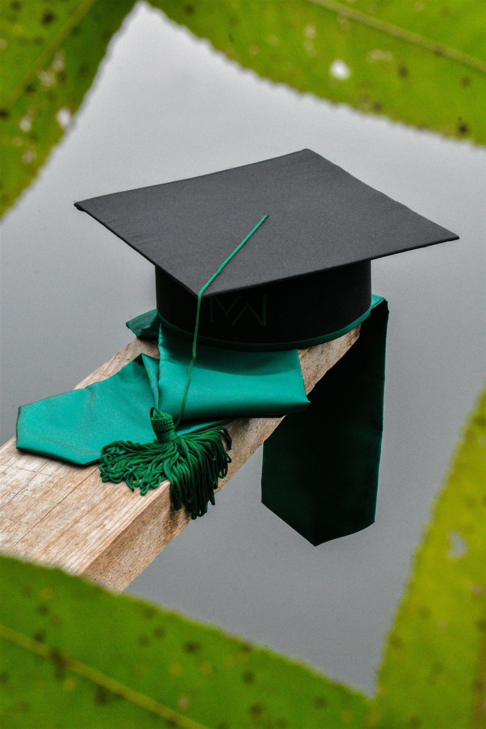 Temporary Graduate Visa